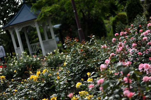 100512 m1 DSC_9574.jpg